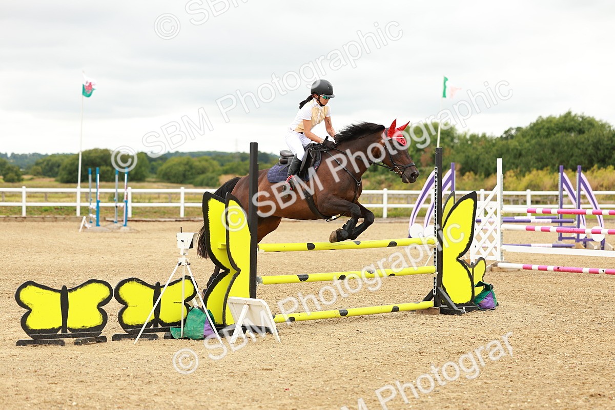 SBM_001586 - Class 9 - Senior British Novice - 90cm