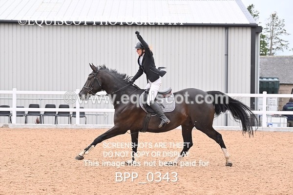 BPP_0343 - CLASS 26 SUN 5 Year Old Non Qualifier
