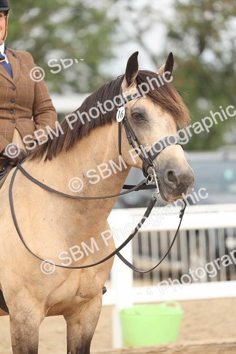 SBM_01932 - Class 14 - Ridden M&M Wildcard