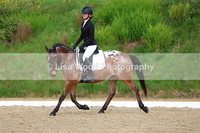 3E7A3603 - Class 2: INTRO B- INTRO 3 2024