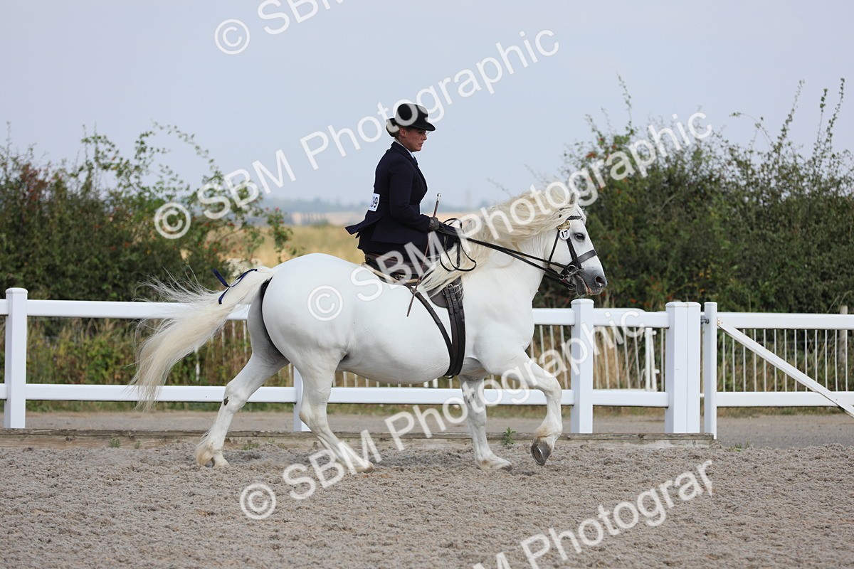 SBM_14518 - Class 211 Best Side Saddle Horse/Pony