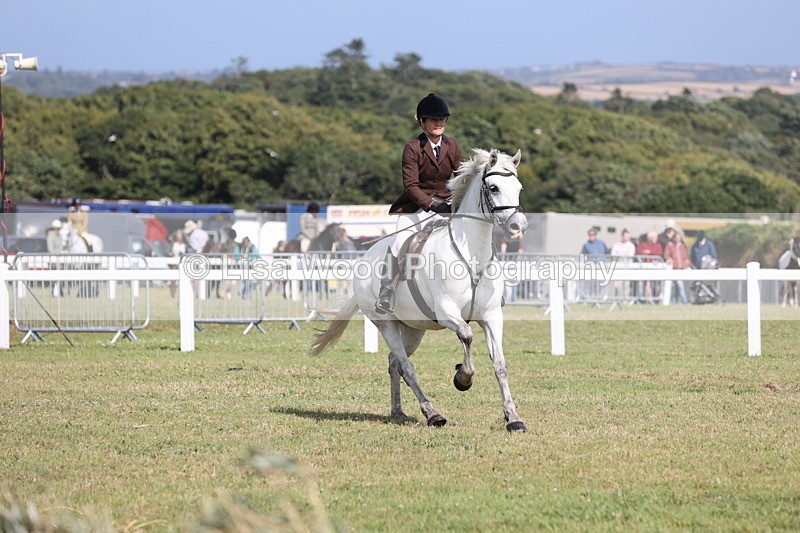 JPP_2574 - Class 20: Working Hunter 70cm