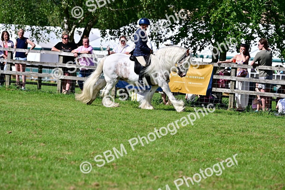 SBM_09380 - Class 63-65 - Traditional Gypsy Cobs In Hand & Ridden