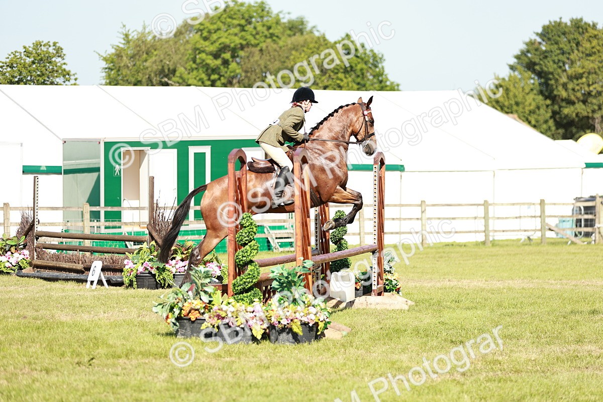 SBM_19142 - Class 115-116 - LIHS BSHA Rising Star Working Hunter & Show Horse