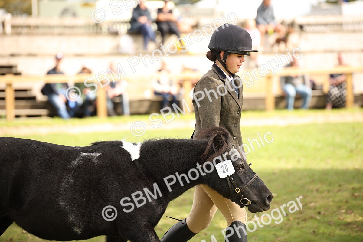 SBM_46381 - S25 - Mature Veteran In Hand