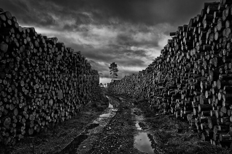 The last stand - My darker side