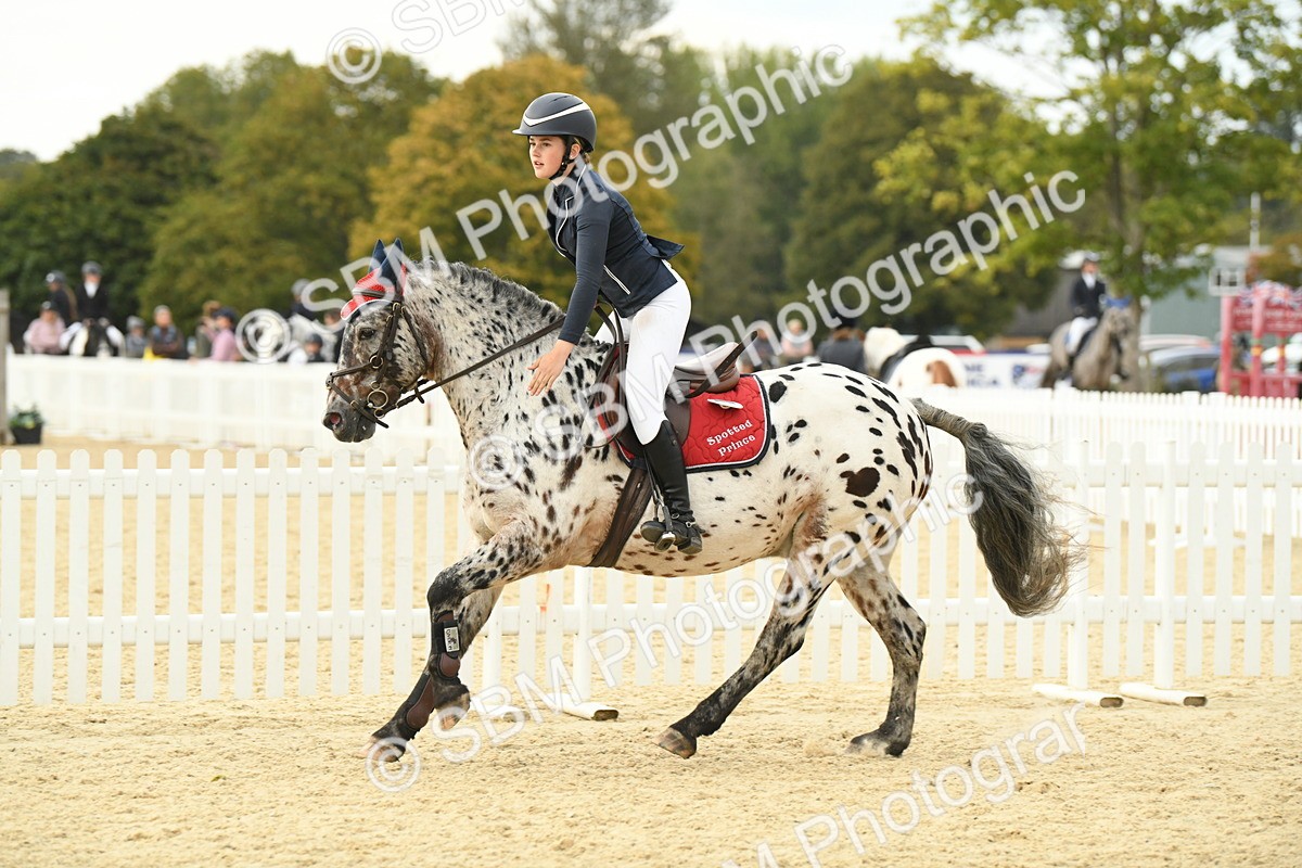 SBM_73400 - J16 - Junior Pony 75cm Championship