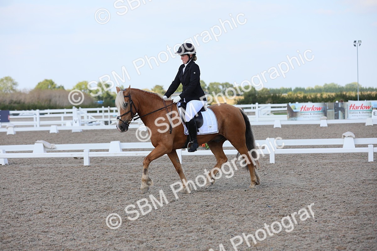 SBM_07725 - Class 33 Elementary 1