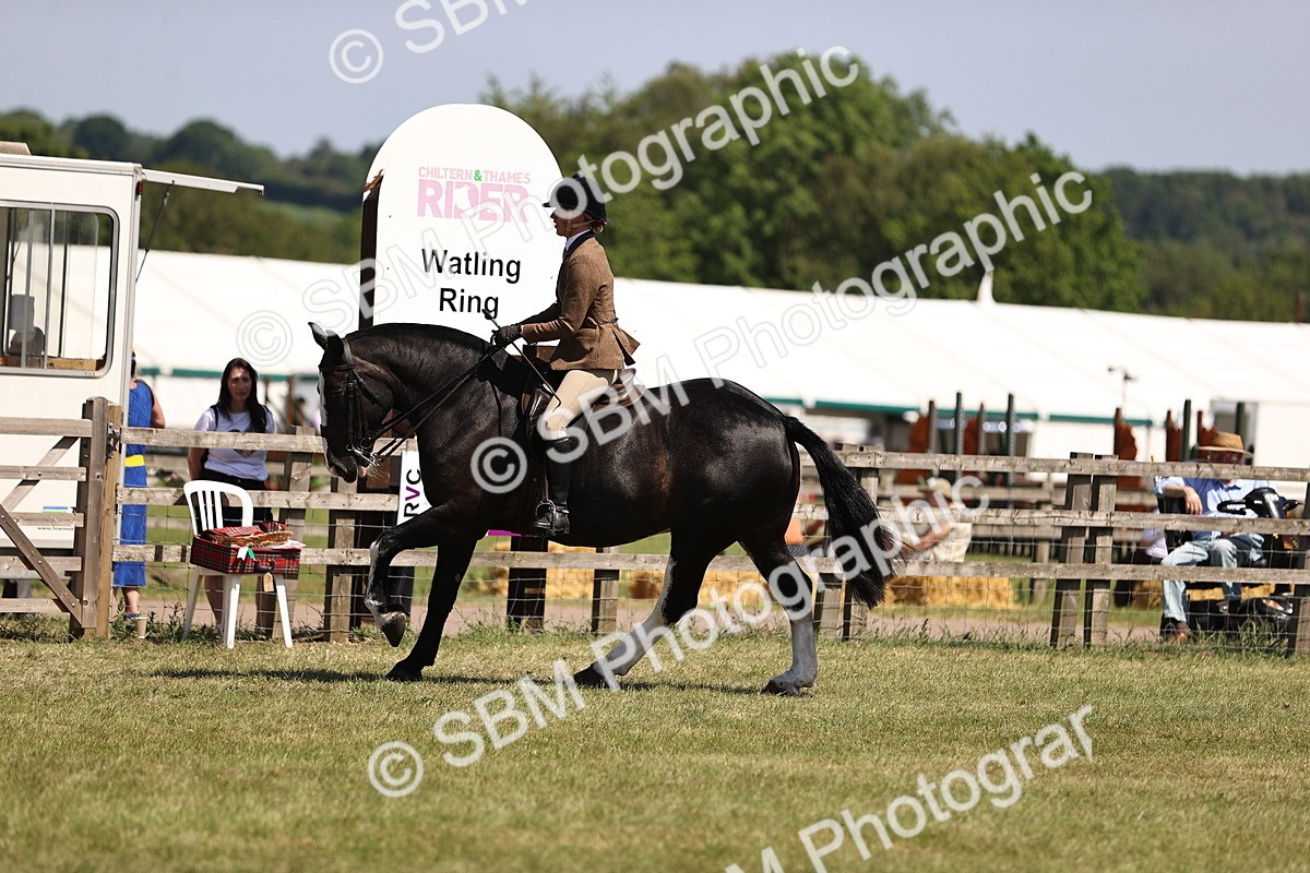 SBM_17887 - Class 81-83 - TSR Ridden Amateur of the Year - Horses