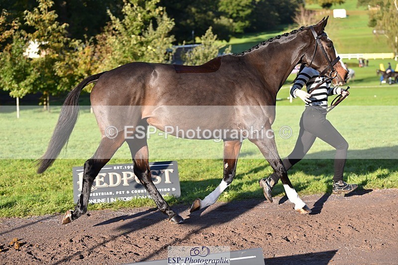 231022-093752-21930 - 427-COMBE.BREEZE-Gemma.Wells-TrotUp+SJ