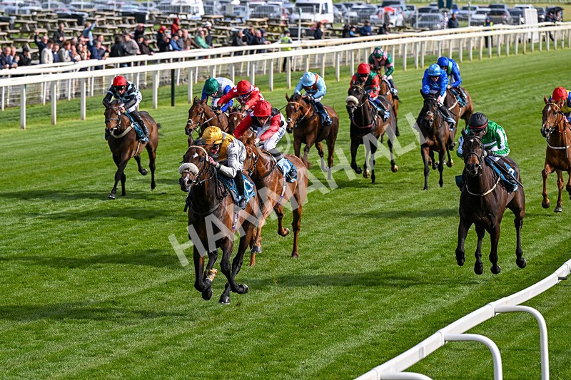 140526-Race 7-Arc Ole Ole-0407 - Race 7 5.15pm Frank Whittle Partnership Handicap
