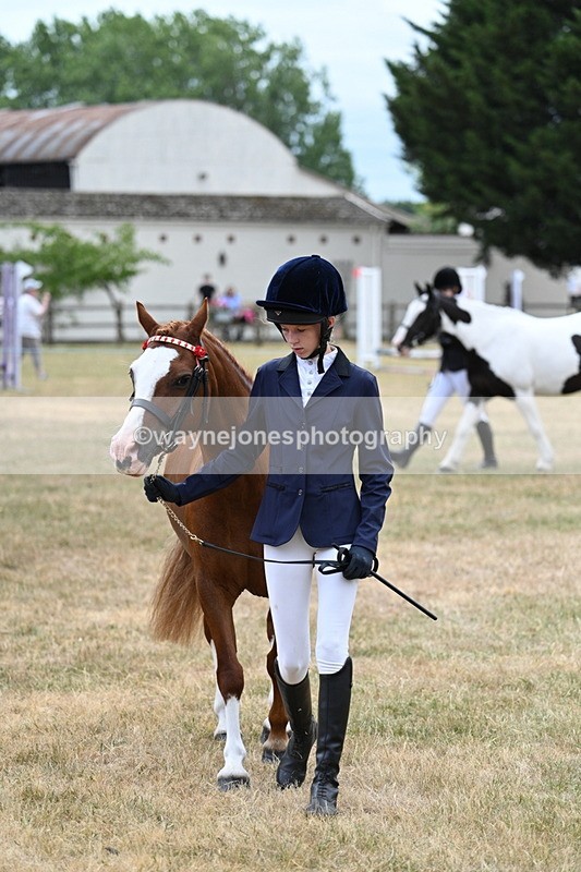WJ7_1415 - Class 4 Prettiest Mare up to 14.2hh in hand