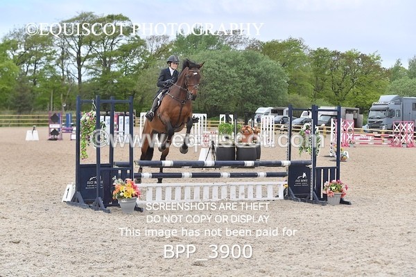 BPP_3900 - CLASS 2  Club/ Unaffiliated 80cms Open