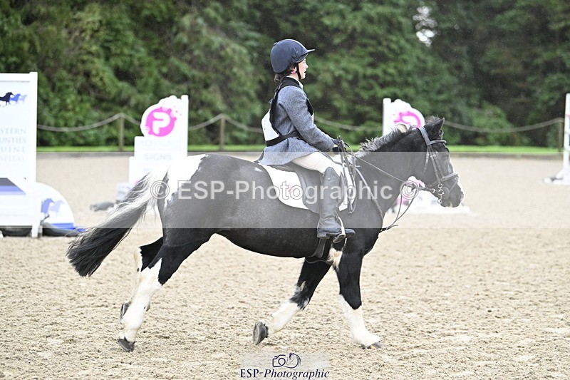 251005A-083003-02798 - Cls 01 GR 40cm