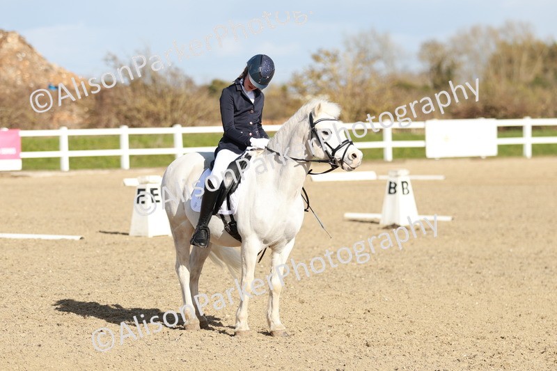 20260314-4531 - DR4 - Prelim 2