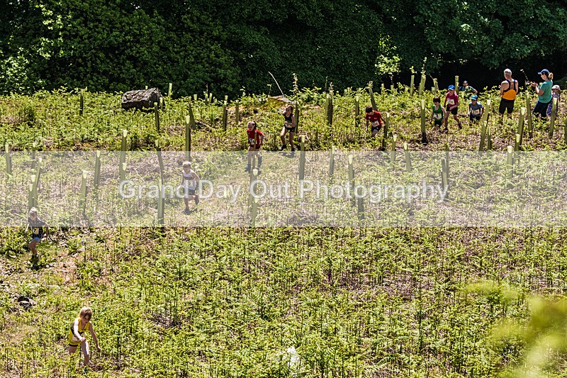 Coniston Junior-6 - Coniston Gullies Junior Fell Races Sunday 24th May 2026