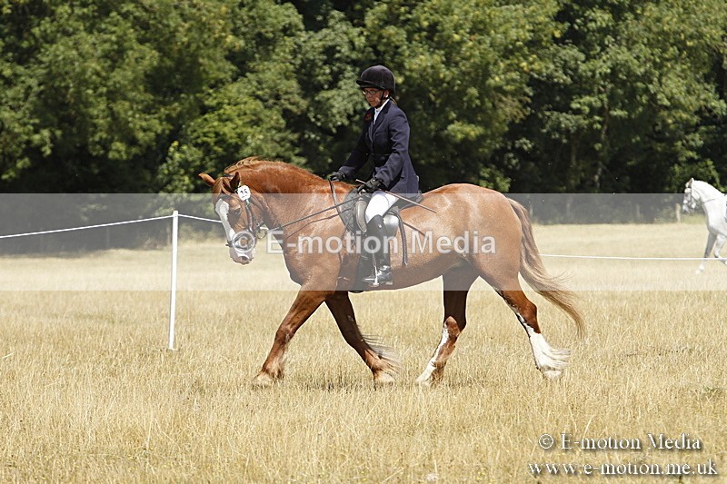 _BS_0823 - BVRC Show 2018 Ring 1