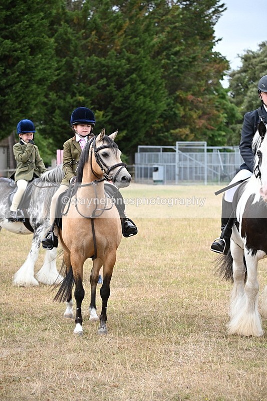 WJ6_7686 - Class 9 Tack and Turnout