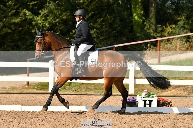 250817-161018-11498 - 049-Carolyn.GaleNewtown.Ringo