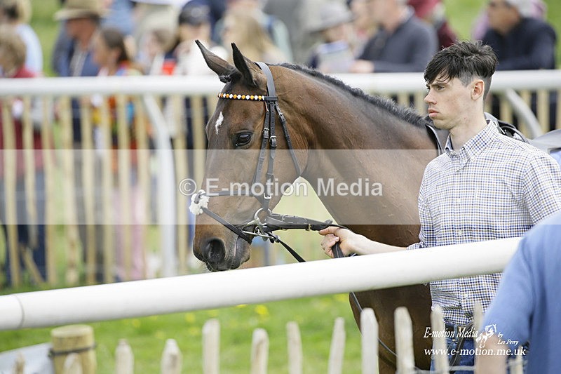 PtP 180422 139 - Old Berkshire PtP Lockinge 18/04/22