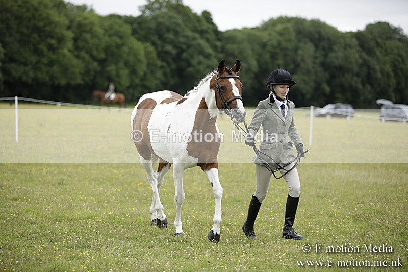 BVR160717-851 - Ring 2 BVRC Show 16/07/17