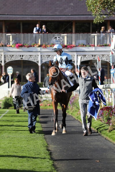 yr08102022r5-48 - Race 5 3.50pm The Coral Committed To Safer Gambling EBFStallions.com Maiden Stakes