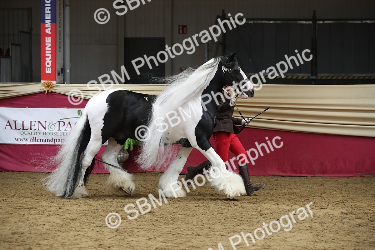 SBM_05475 - Class 9R - Regional IH Pre-Vet