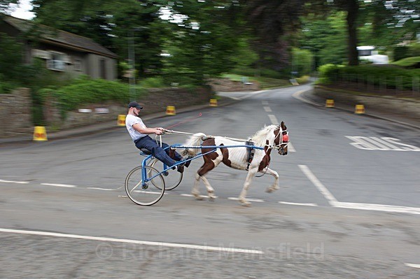  - Appleby Horse Fair