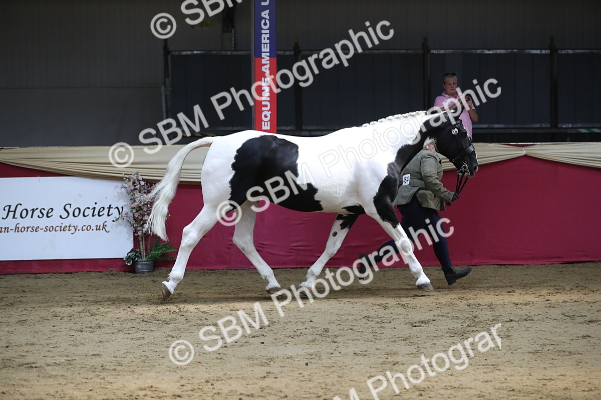 SBM_06250 - Class 9R Regional- IH Pre Vet