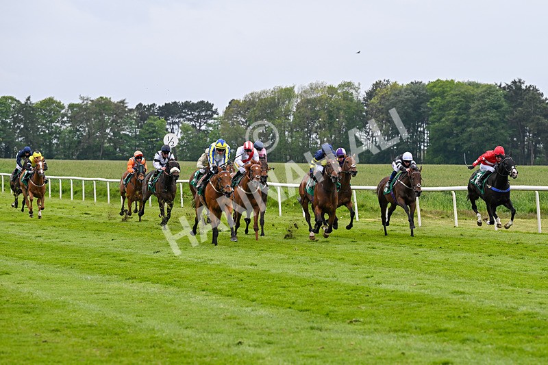 160526-Race 6-Empire Of Light-9958 - Race 6 4.47pm Sky Bet Club Handicap