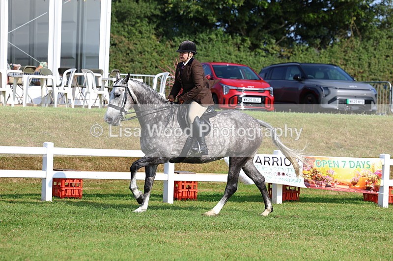 3E7A8618 - Class 3: Rising Star S/L Hunter