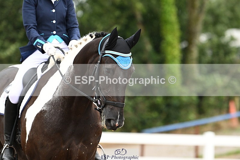 240815A-120245-00902 - 275-Alys.Matravers-Tiger.Mazariti