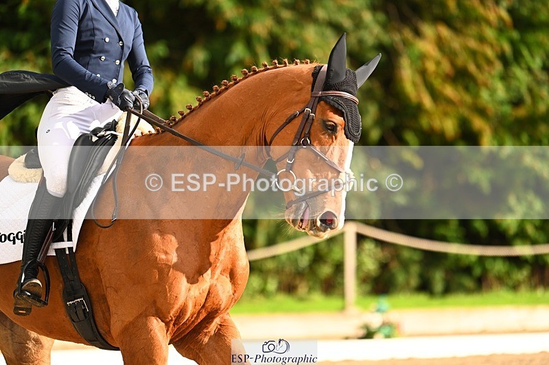 231021-154044-20926 - 260-LIGHTNIN.CONDUCTOR-Angus.Stewart-DR