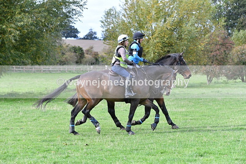 WJ5_0330 - Time 13:25 to 13:58