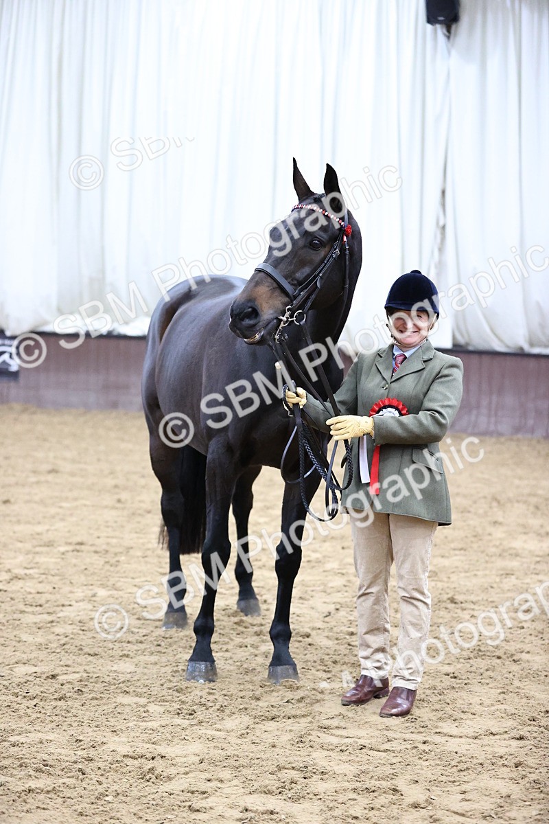 SBM_5770 - Class 3 - BSHA In Hand Show Hunter