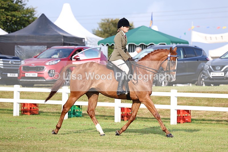 3E7A7670 - Class 1: Rising Star Small Hack/Riding Horses