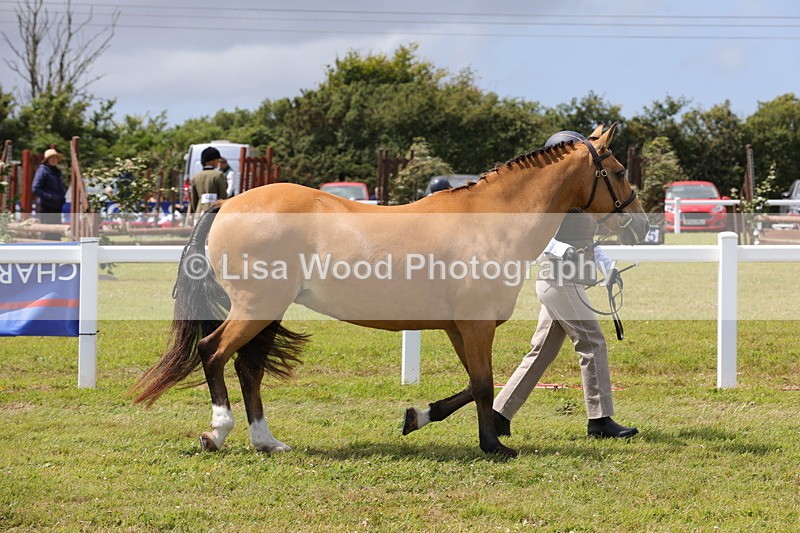 1X9A4900 - Class 35: Veteran In Hand