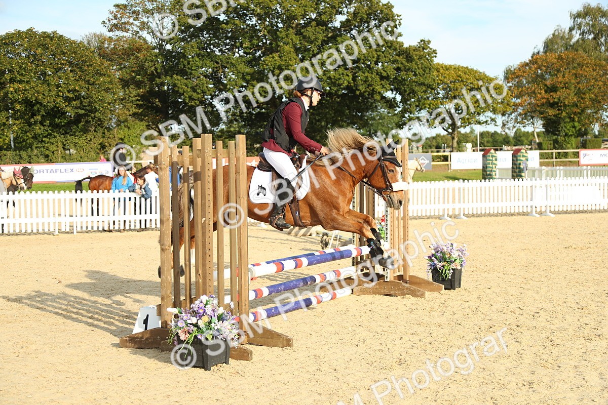 SBM_53565 - J8 - Junior Pony 65cm Championship