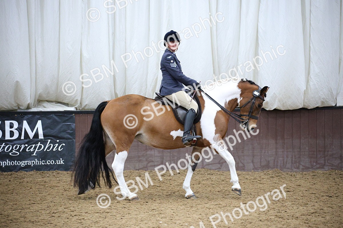 5K7A6062 - Class 48 - Ridden Mare