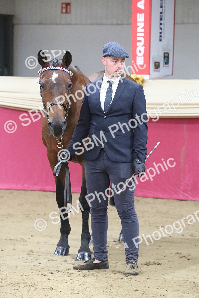 SBM_00309 - Class 1a - Area IH Diamond