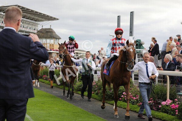 yr17082022r5-11 - Race 5 4.10pm Sky Bet Stayers Stakes