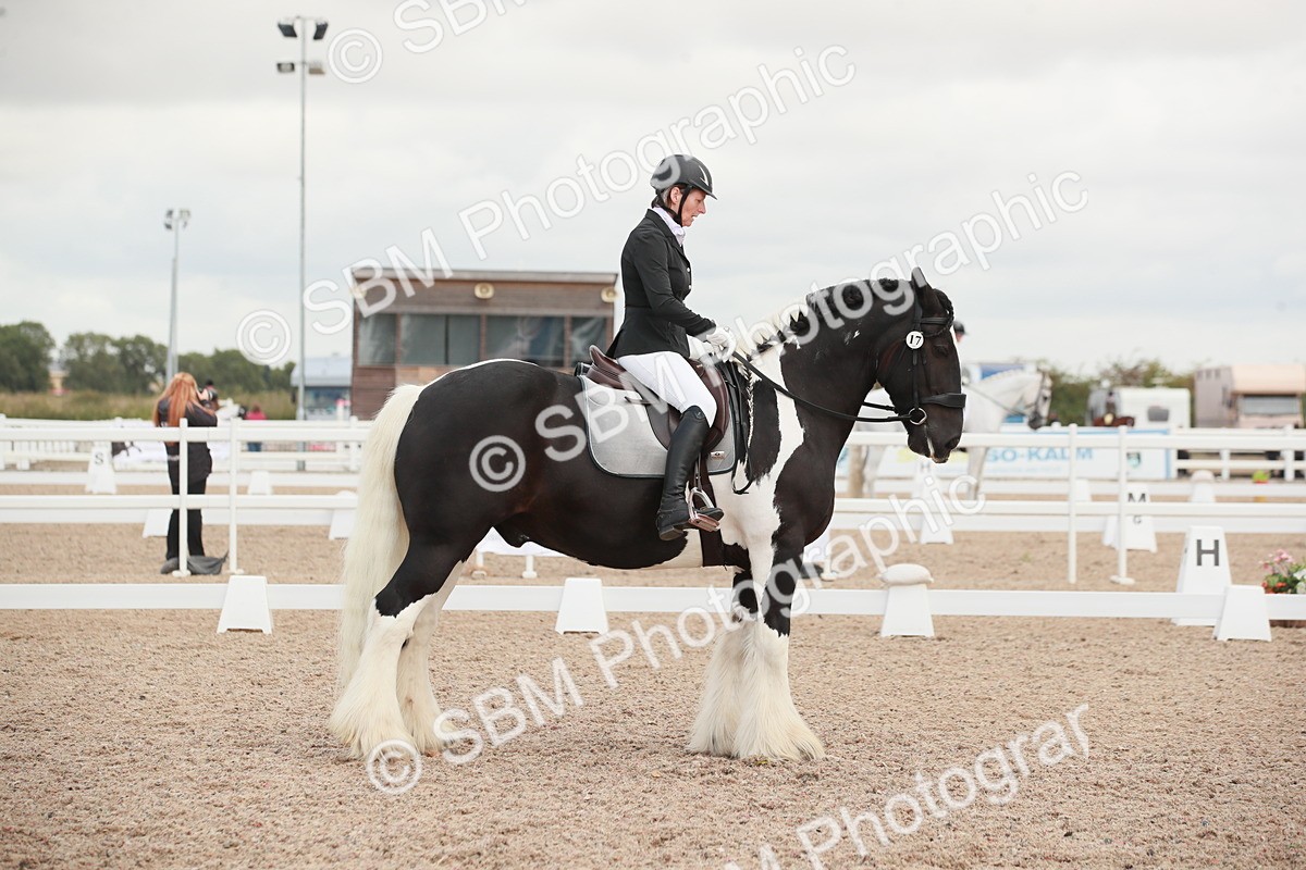 SBM_03838 - Class 31 - Prelim 1