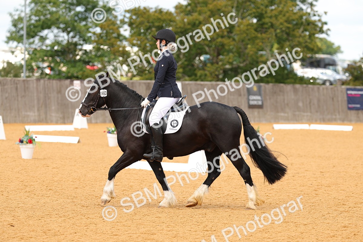 SBM_44011 - D22 - Junior Championship - Intro B