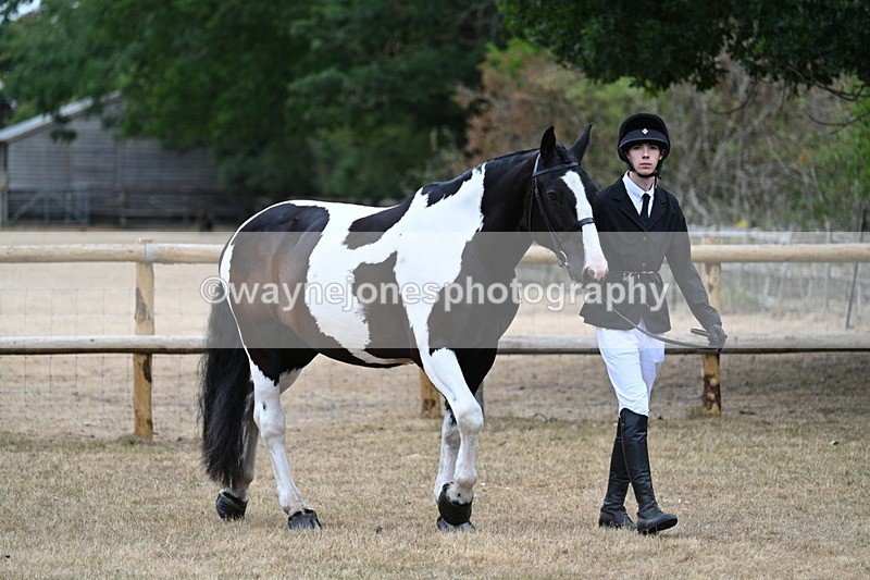 WJ7_8676 - Class 4a Prettiest Mare 14.2hh and over