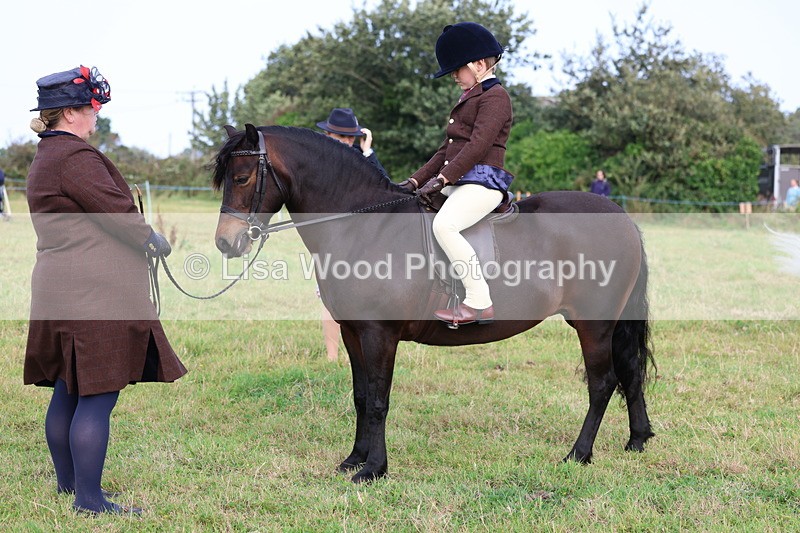 3E7A3589 - Class 2: Lead rein