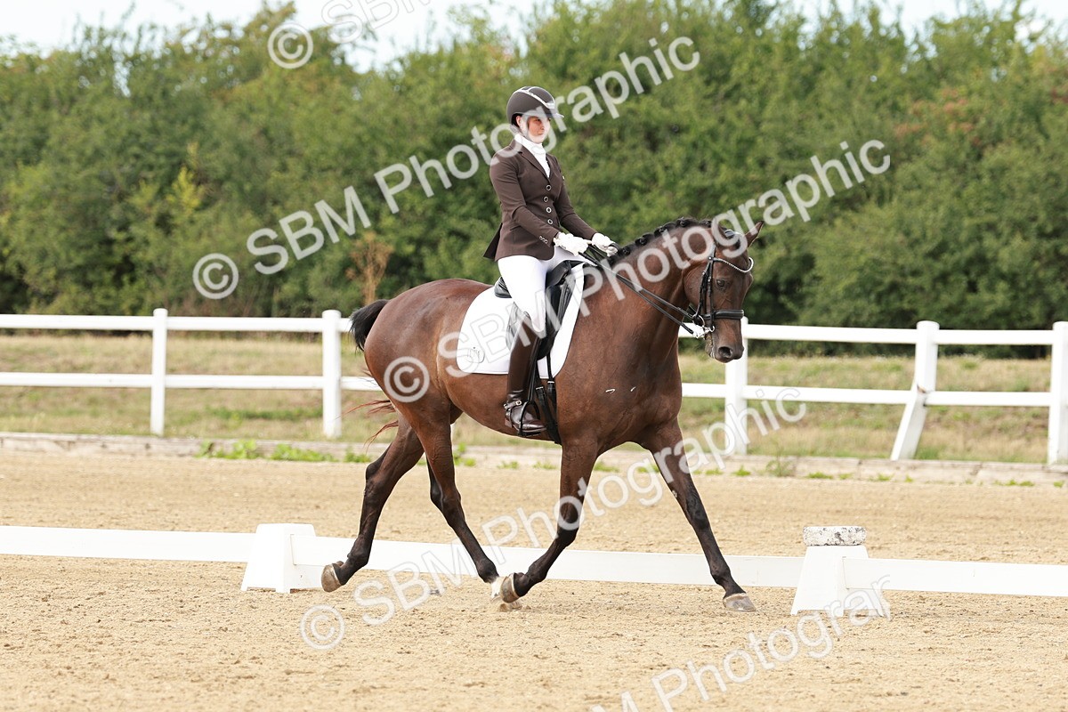 SBM_002380 - Class 11 - Medium 6