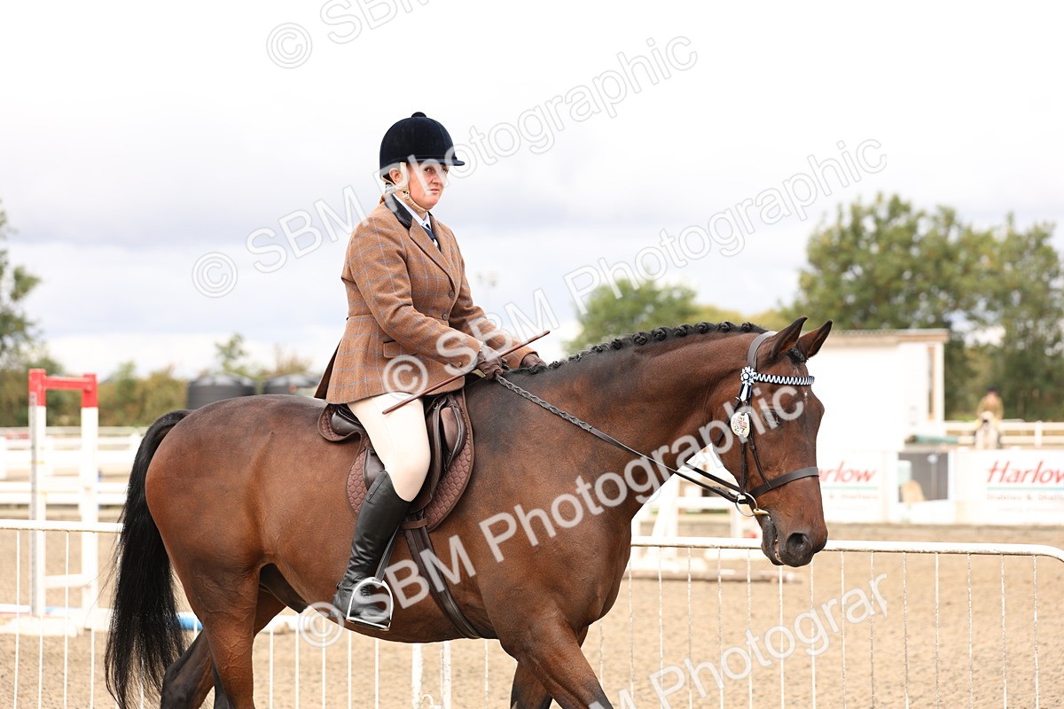 SBM_02776 - Class 53 - Ridden Competition Horse/Pony
