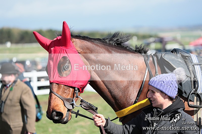 PtP 230324 239 - Tedworth Hunt PtP Larkhill Raccourse 23rd March 2024