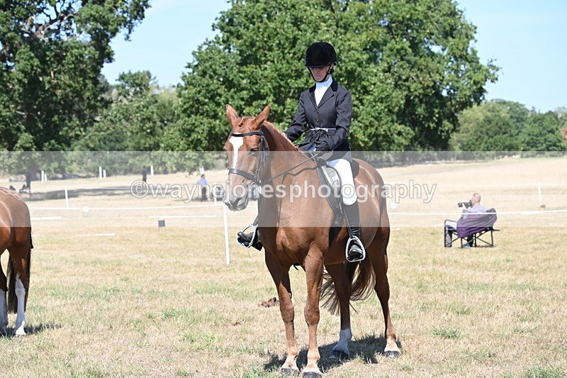 WJ6_8432 - Class 37a Best Loan Pony Ridden
