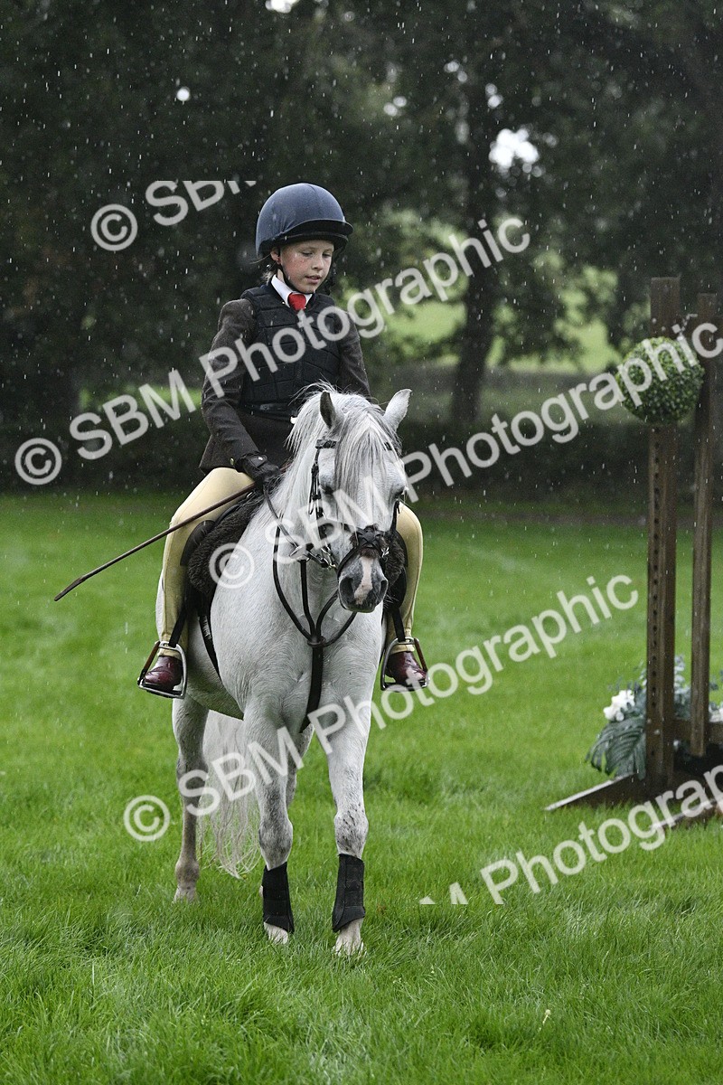 SBM_37118 - S31 - Novice & Newcomer Working Hunter Pony